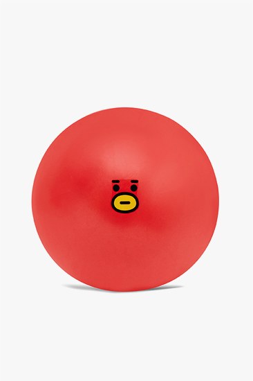 BT21 TATA Gym Ball