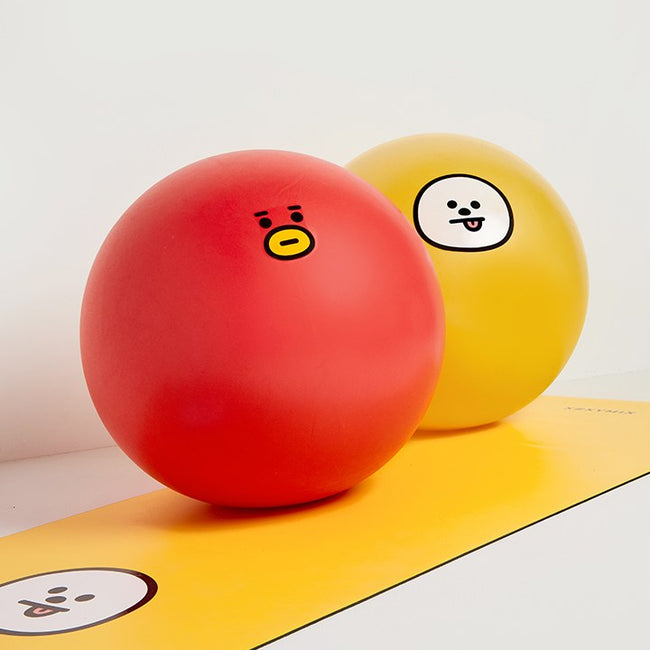 BT21 TATA Gym Ball